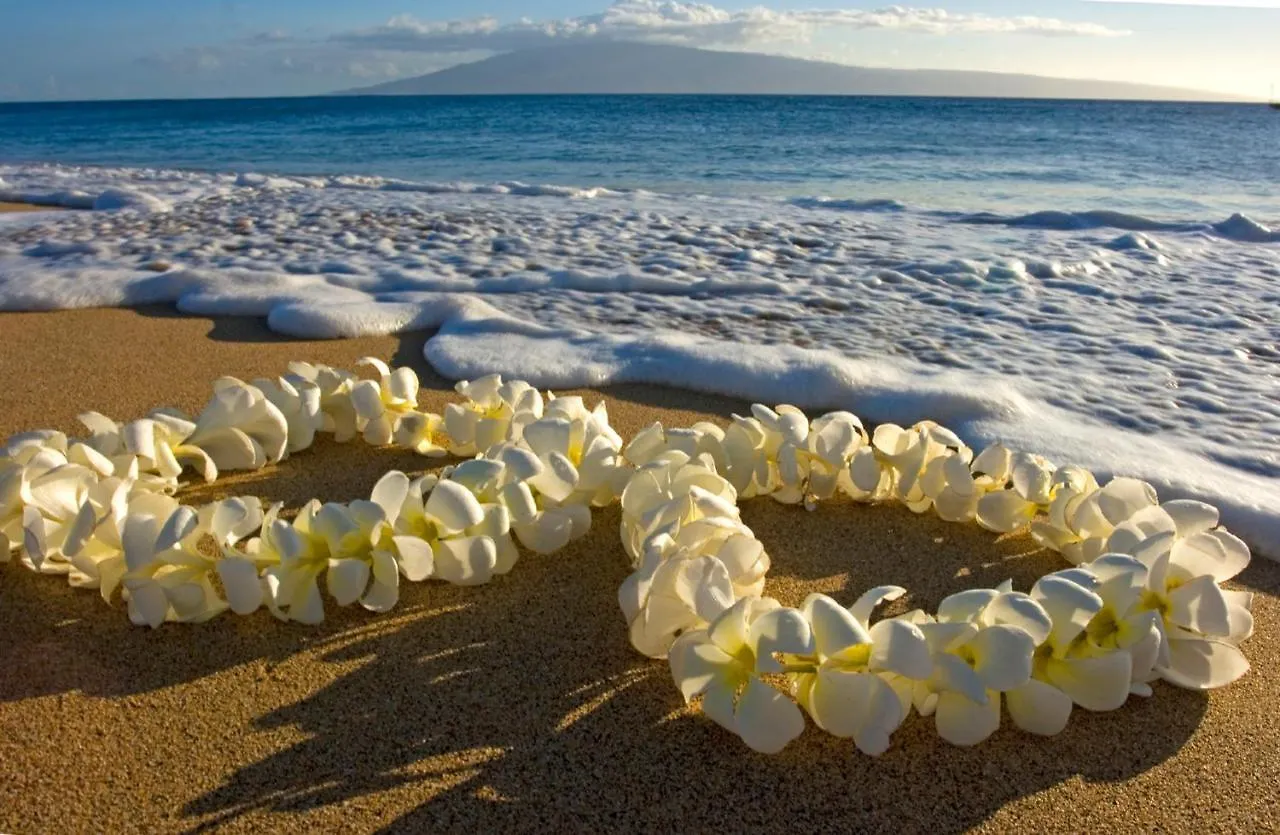 Stylish Studio With Great Ocean Views & Near Beach! Apartment Honolulu